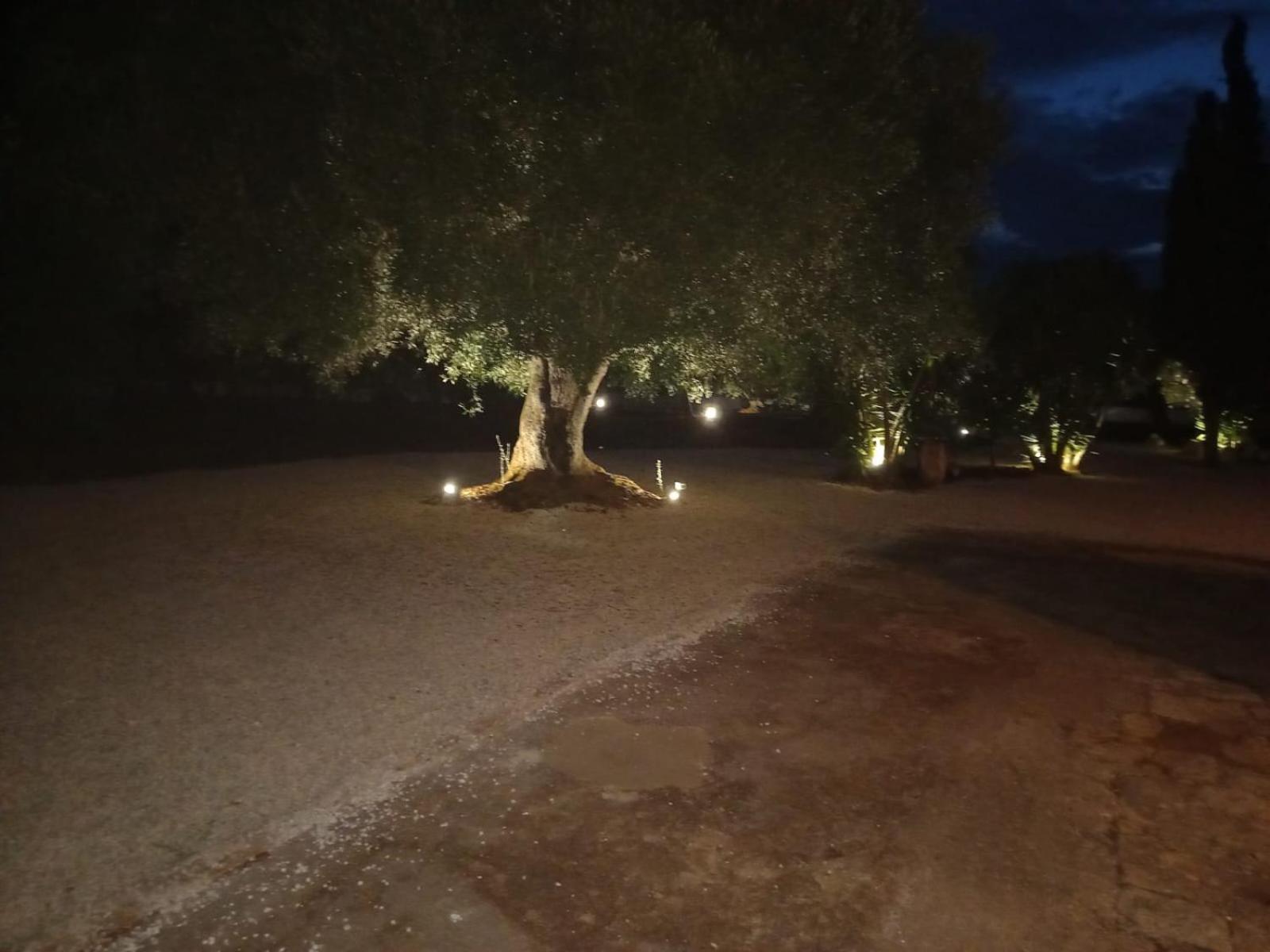 Villa Casina Tra Gli Ulivi Ostuni Exterior foto
